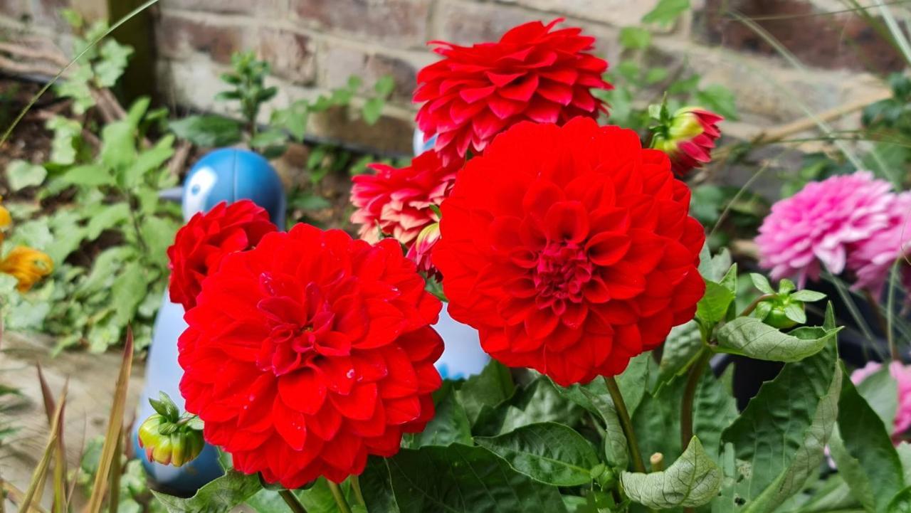פורטסמות' Cottage Grove Homestay Rooms מראה חיצוני תמונה